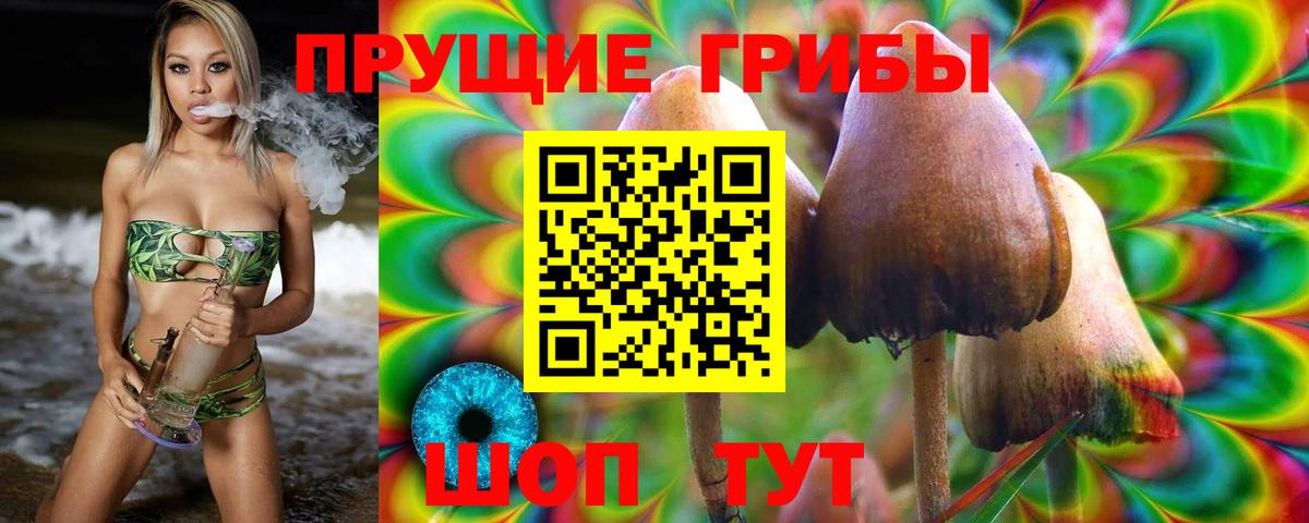 Галлюциногенные грибы мицелий  Галлюциногенные грибы GOLDEN TEACHER  Котлас  цена наркотик  Вход с VPN 