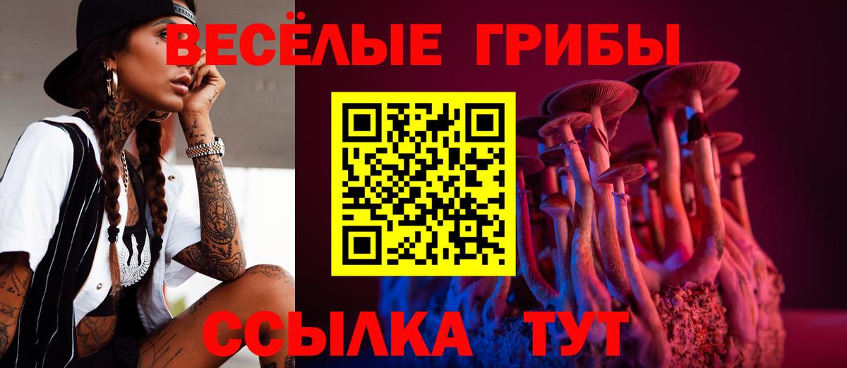 Псилоцибиновые грибы мухоморы Котлас